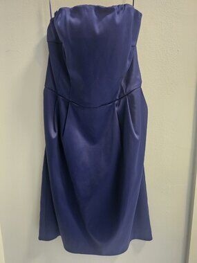 Express Womens Strapless Zipper Cocktail Dress Size 8 Purplish Blue Color NWT